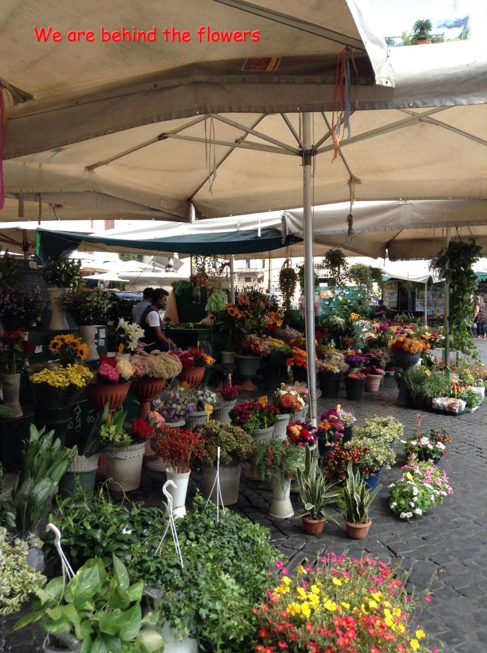 In Piazza 2*